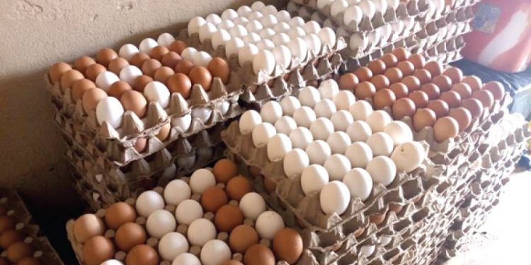 Demolition exercise at Mpehuasem intended to halt further encroachment of state lands