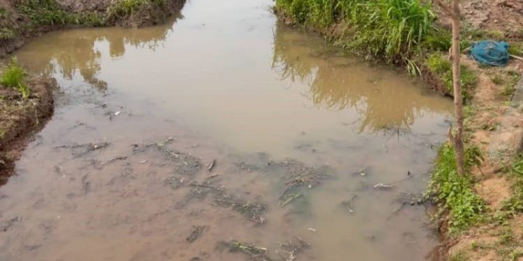 Fiapre Traditional Council takes steps to protect water bodies