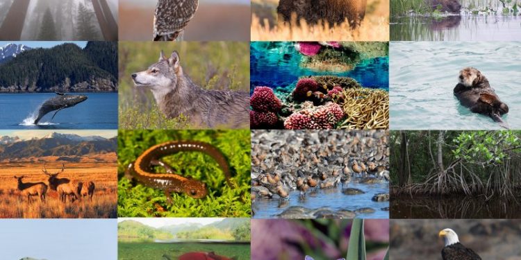 Environment Minister urges agencies to enforce laws on nature protection