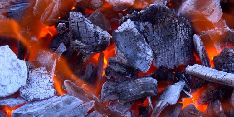 Savannah Region: Chiefs Ban Commercial Charcoal Burning And Other Illegal Activities