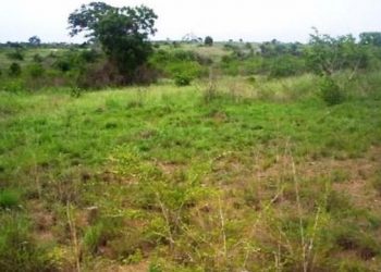 A woman Killed  Her Sister Over A Piece Of Land At Fetentaa Mantukwa