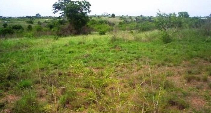 A woman Killed  Her Sister Over A Piece Of Land At Fetentaa Mantukwa