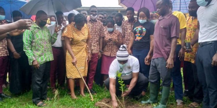 Komenda College of Education launches ‘One Student, One Tree’ Project.