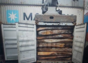 5 Containers Of Rosewood Impounded At Tema Port