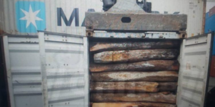 5 Containers Of Rosewood Impounded At Tema Port