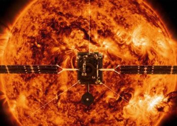 Worms to be shipped to space to help shed light on human muscle loss