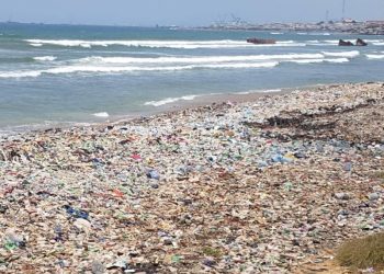 Tema Coalition of NGOs calls for greater efforts to protect the ocean