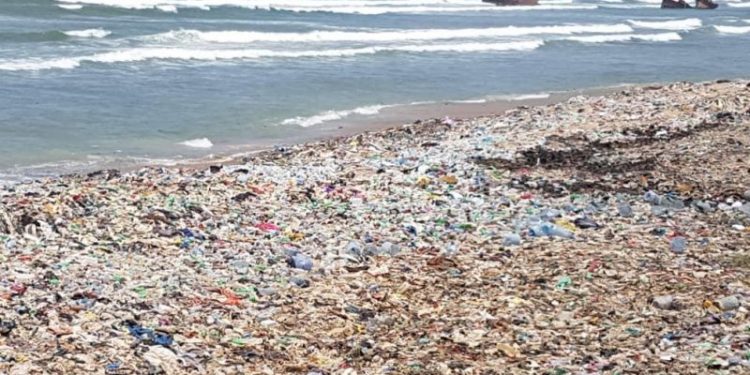 Tema Coalition of NGOs calls for greater efforts to protect the ocean
