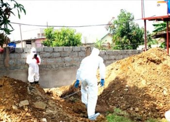 Bird Flu kills 6,046 poultry birds in Tema West
