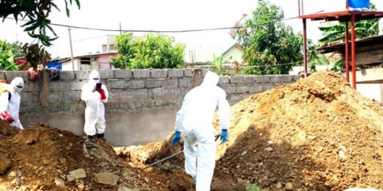 Bird Flu kills 6,046 poultry birds in Tema West