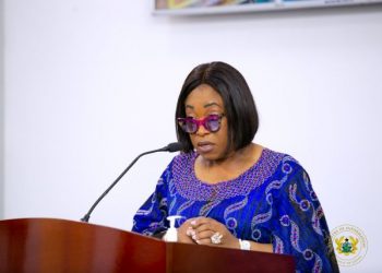 Ayorkor Botchwey And UAE Counter Hold Virtual Meeting