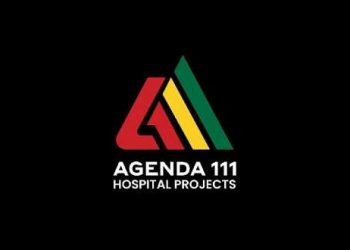 Agenda 111: Government Should Have Considered Revamping Existing Hospitals- Amon Kotei