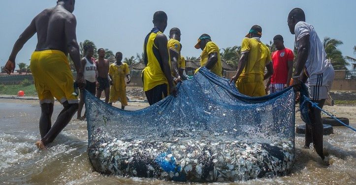 Stakeholders Want Government Action On Illegal Fishing Activities