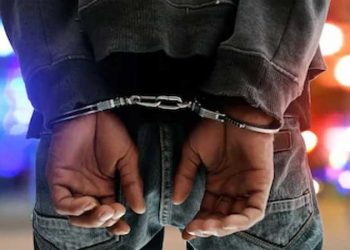 Radical Action Needed To Tackle Crime Epidemic – Security Analyst