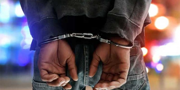 Radical Action Needed To Tackle Crime Epidemic – Security Analyst