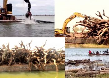 Over 21,000 tree stumps removed on Volta Lake to improve navigation