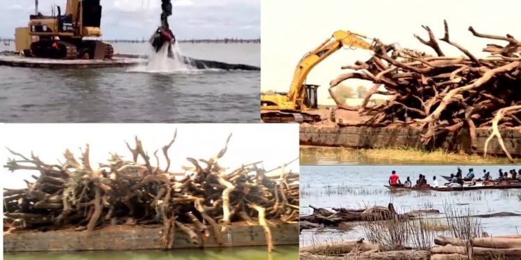 Over 21,000 tree stumps removed on Volta Lake to improve navigation