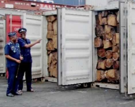 REVEALED: Why Forestry Commission, Ministry Of Lands & Resources Are Silent On Five Impounded Rosewood Containers