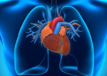 Heart Diseases On The Rise In Ghana – Doctor Cautions