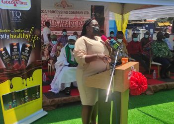 “Men Should Desist From Sex Enhancement Supplements”- Dr. Florence Koryo Akomeah