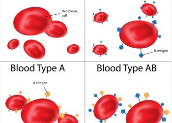 Knowing Your Blood Type Can Save Your Life – Pharmacist