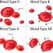 Knowing Your Blood Type Can Save Your Life – Pharmacist
