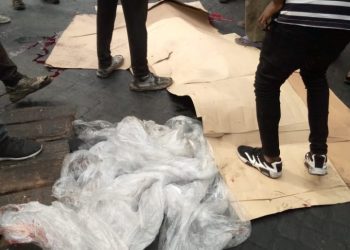 Tragic Occurrence Occurred At Team Harbour Transit Yard, One Person Dead