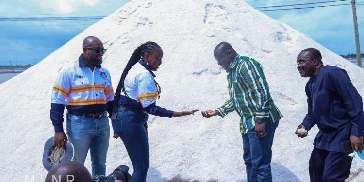 Ghana To Become Net Exporter Of Salt-Lands Minister