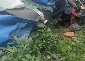 ‘He Got Scared And Pulled The Hand Breaks’ – One Dead After New Jinejine Road Accident