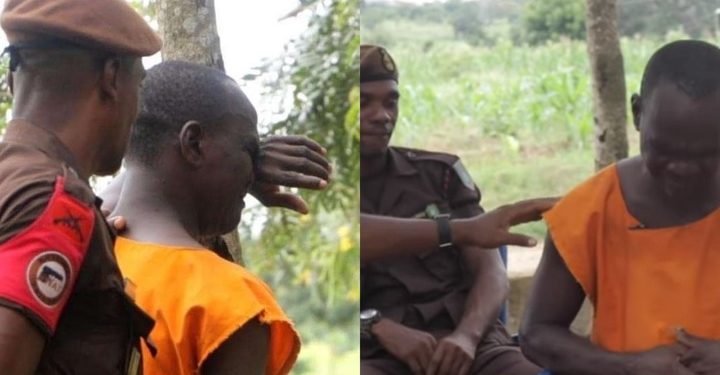 Bribery Gone Wrong: NPP Chairman Jailed For Attempted Bribery