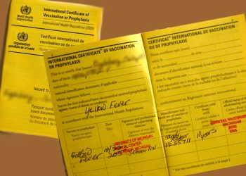 Suspected Yellow Fever: GHS Issue Alert After 8 Die In Savannah Region