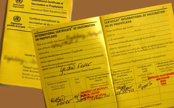 Suspected Yellow Fever: GHS Issue Alert After 8 Die In Savannah Region