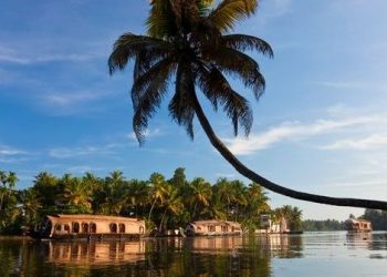 Woman Found Living With Secret Incestuous Lover And Children After Deceiving Family For 17 years