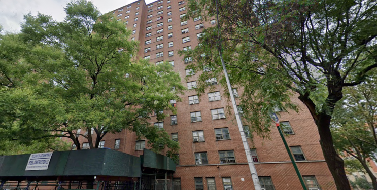 Woman Found Dead In Her Own Backyard After Trying To Stop fighting Dogs