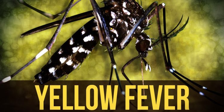16 Die Of Yellow Fever In Savanah Region