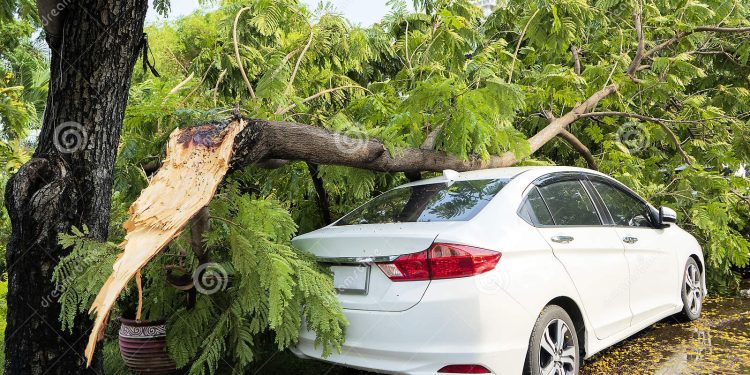 Akyem Kwabeng: Toddler Confirmed Dead And Five Arrested After Tree Accident