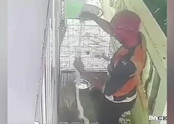 CCTV Camera Captures Thief Stealing A Monkey In Tema