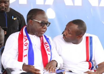 At The Crossroads: Attempted ‘Coup D’etat’ In NPP?