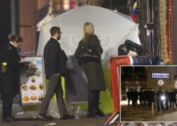 ‘Restaurant Owner’ Stabbed To Death In Front Of Horrified London Diners