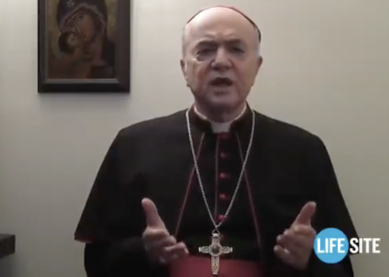 Italian Archbishop Vigano: “A Global Coup Has Been Carried Out All Over The World”