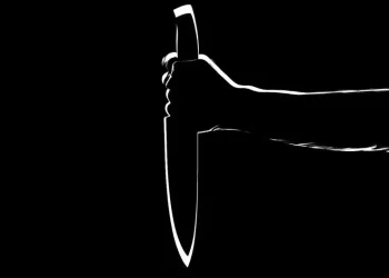 Limpopo Man Murders Seven Family Members On Christmas