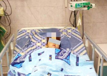 Mum ‘Throws Girl, 3, Into Bear Cage At Zoo In Front Of Horrified Visitors’