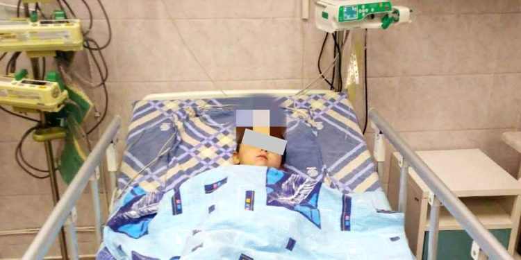 Mum ‘Throws Girl, 3, Into Bear Cage At Zoo In Front Of Horrified Visitors’