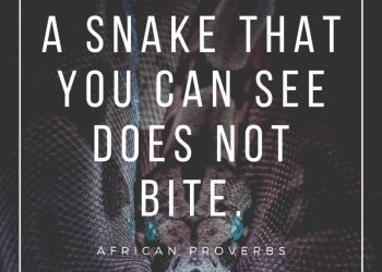 African Proverbs You Should Never Ignore