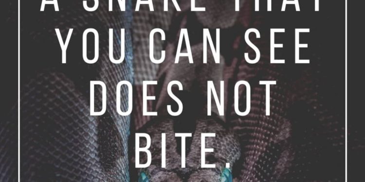 African Proverbs You Should Never Ignore