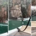 Six Confirmed Dead After Rock Detached From A Canyon And Fell On Tourist Boats In Brazil 
