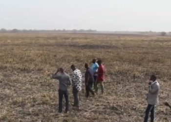 My Farm Wouldn’t Have Burnt Down If Government Had Helped – Farmer Loses 200 Acres Of Rice Farm