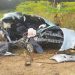 Five Critically Injured After Koase-Wenchi Road Crash
