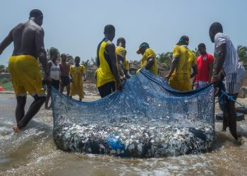 2021 National Best Fisherman’s Award Withdrawn