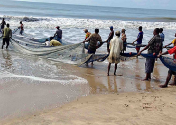 Be Fair To Artisanal Fishers – GCGOA To Government